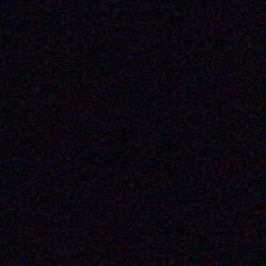 Meet your Posher, Judy